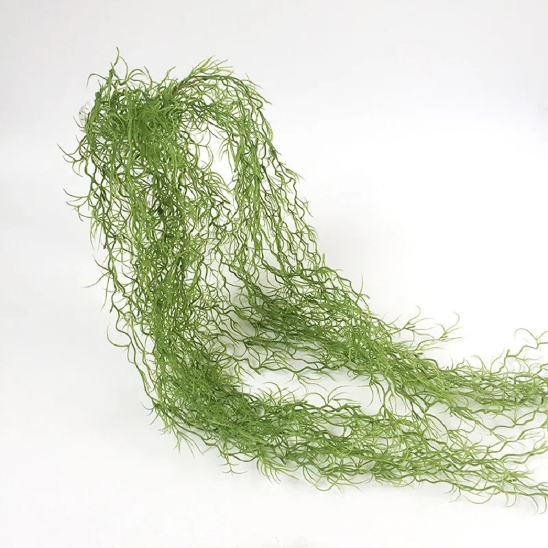 1/3/5 ชิ้น พืชหญ้าสีเขียว ต้นไ - Sphagnum Moss Dry บทวิจารณ์และราคา