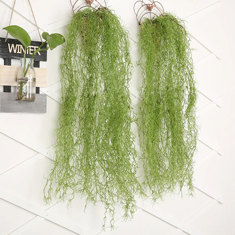1/3/5 ชิ้น พืชหญ้าสีเขียว ต้นไ - Sphagnum Moss Dry บทวิจารณ์และราคา