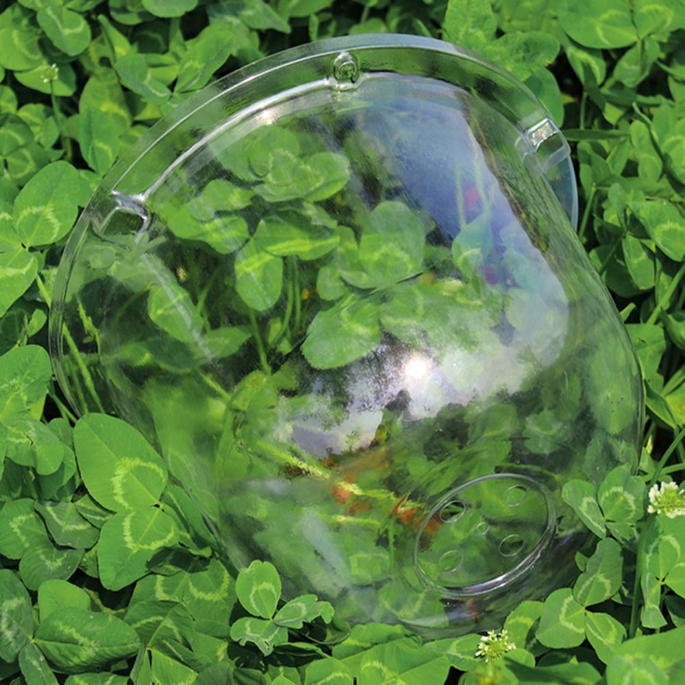 ฝาครอบป้องกันต้นกล้าแบบใส ใช้ซ - Plastic Dome Clear บทวิจารณ์และราคา
