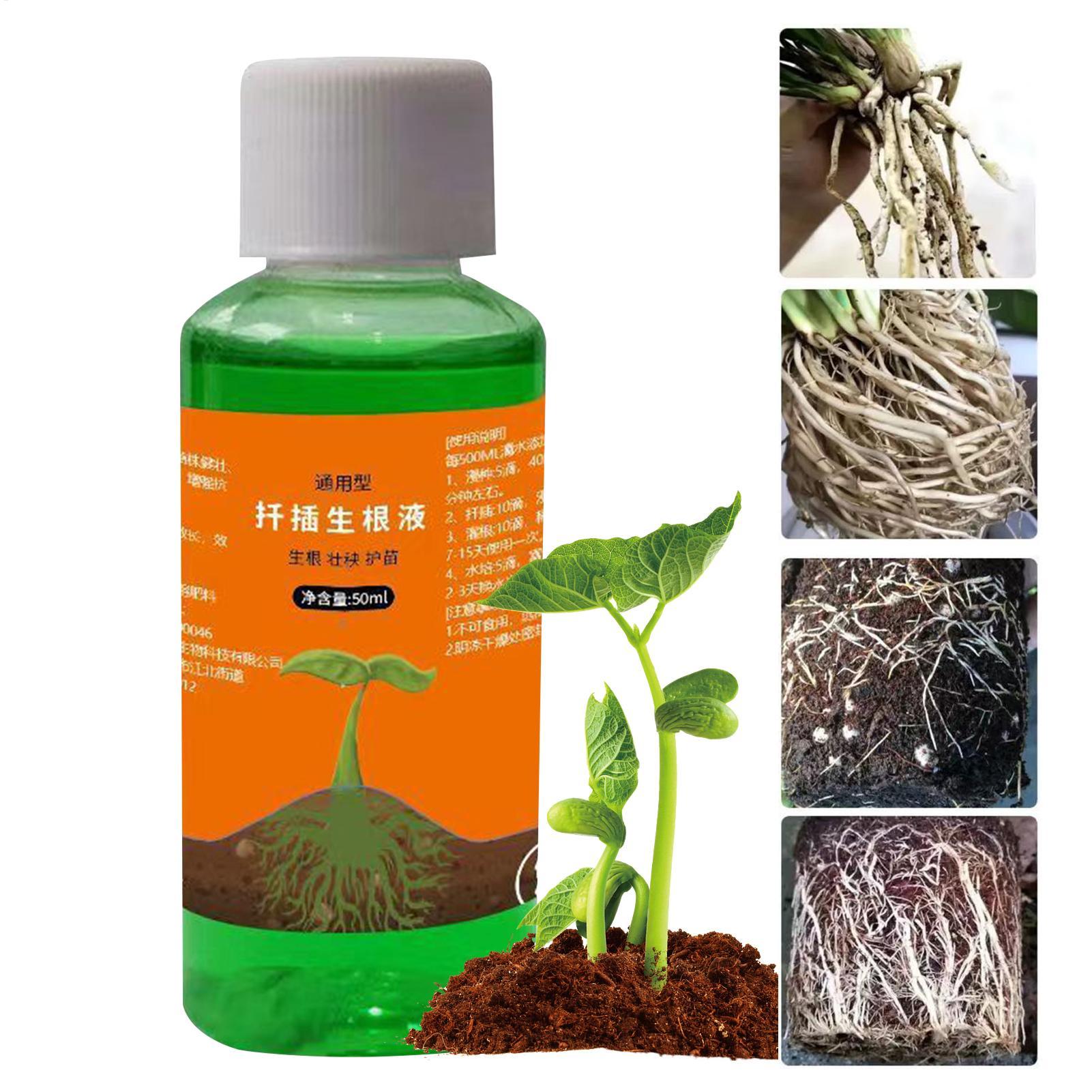 สารกระตุ้นรากประสิทธิภาพสูงสำห - Root Stimulator Liquid บทวิจารณ์และราคา