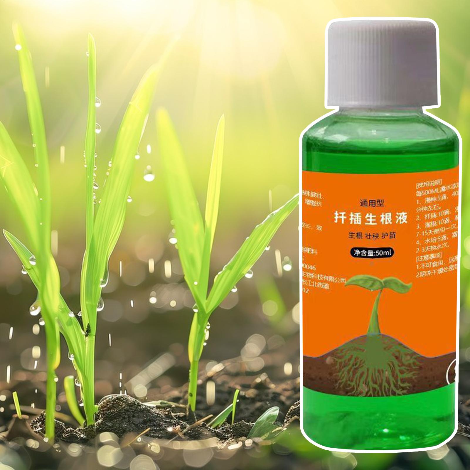 สารกระตุ้นรากประสิทธิภาพสูงสำห - Root Stimulator Liquid บทวิจารณ์และราคา