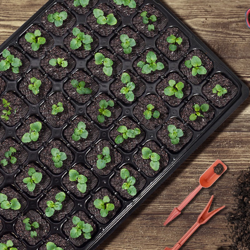 ABGH-10 Pack Seed Starterถาด,  - Propagation Tray 72 บทวิจารณ์และราคา