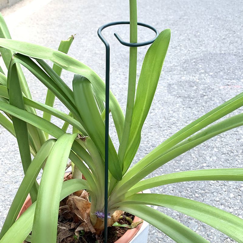 1-10pcs โลหะ SINGLE Stem พืชไม - Sphagnum Moss Dry บทวิจารณ์และราคา