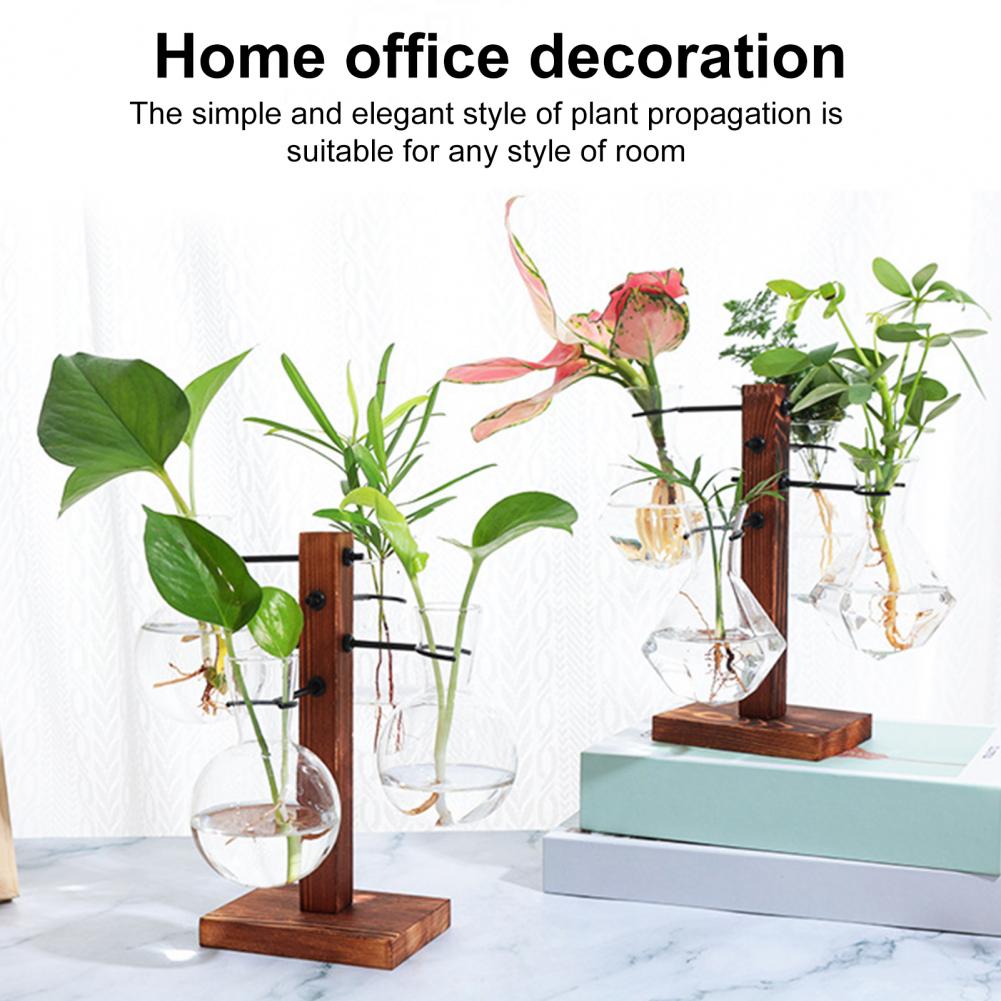 1 ชุด 10*25 ซม.พืช Propagation - Propagation Station Vase บทวิจารณ์และราคา