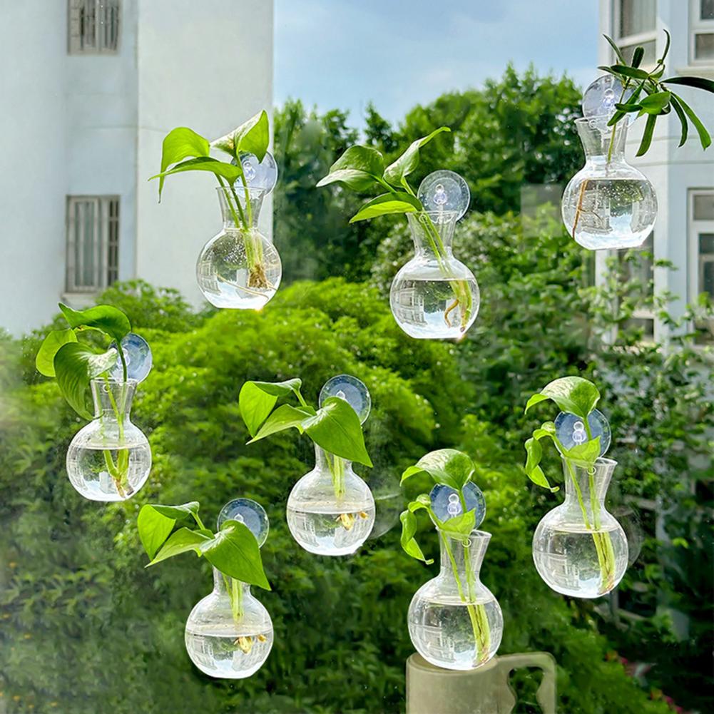 หลอดเพาะพันธุ์พืชแบบมีถ้วยดูด  - Propagation Station Vase บทวิจารณ์และราคา