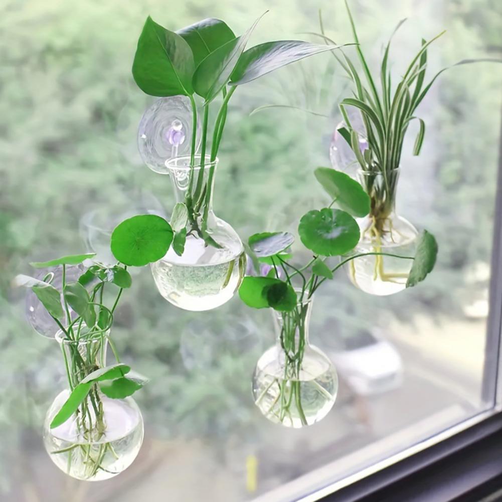 หลอดเพาะพันธุ์พืชแบบมีถ้วยดูด  - Propagation Station Vase บทวิจารณ์และราคา