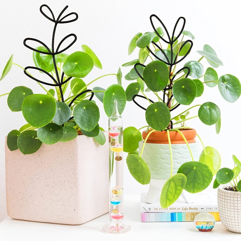 โครงพยุงต้นไม้ 3 ชิ้น เหมาะสำห - Sphagnum Moss Dry บทวิจารณ์และราคา