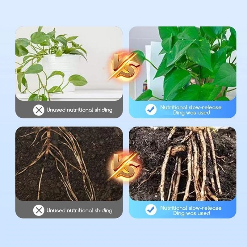 ผงฮอร์โมนเร่งรากชนิดเข้มข้น 50 - Rooting Hormone Powder บทวิจารณ์และราคา