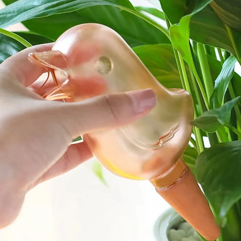คุณภาพสูงอัตโนมัติดอกไม้ water - Self Watering Insert บทวิจารณ์และราคา