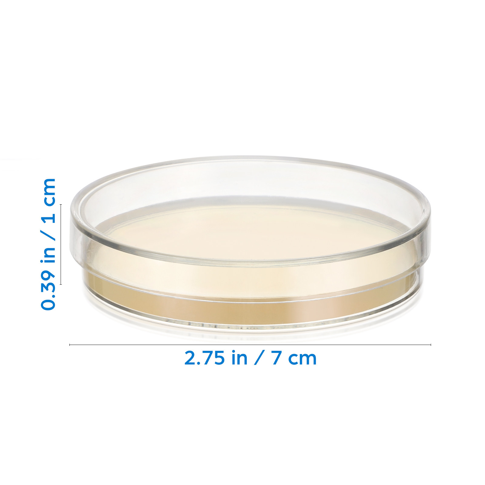 จานเพาะเชื้อวุ้นพร้อมสารอาหาร  - Agar Tissue Culture บทวิจารณ์และราคา