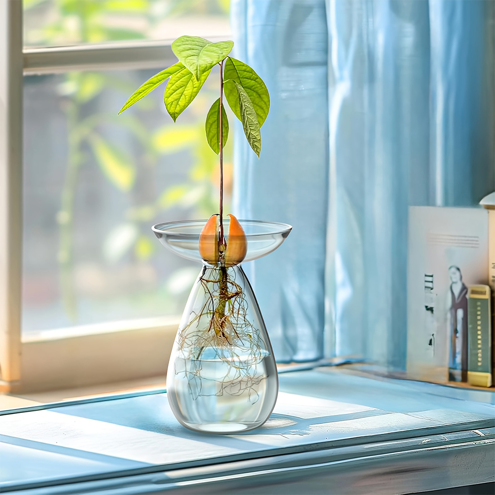 แจกันเพาะเมล็ดอะโวคาโด แจกันแก - Propagation Station Vase บทวิจารณ์และราคา