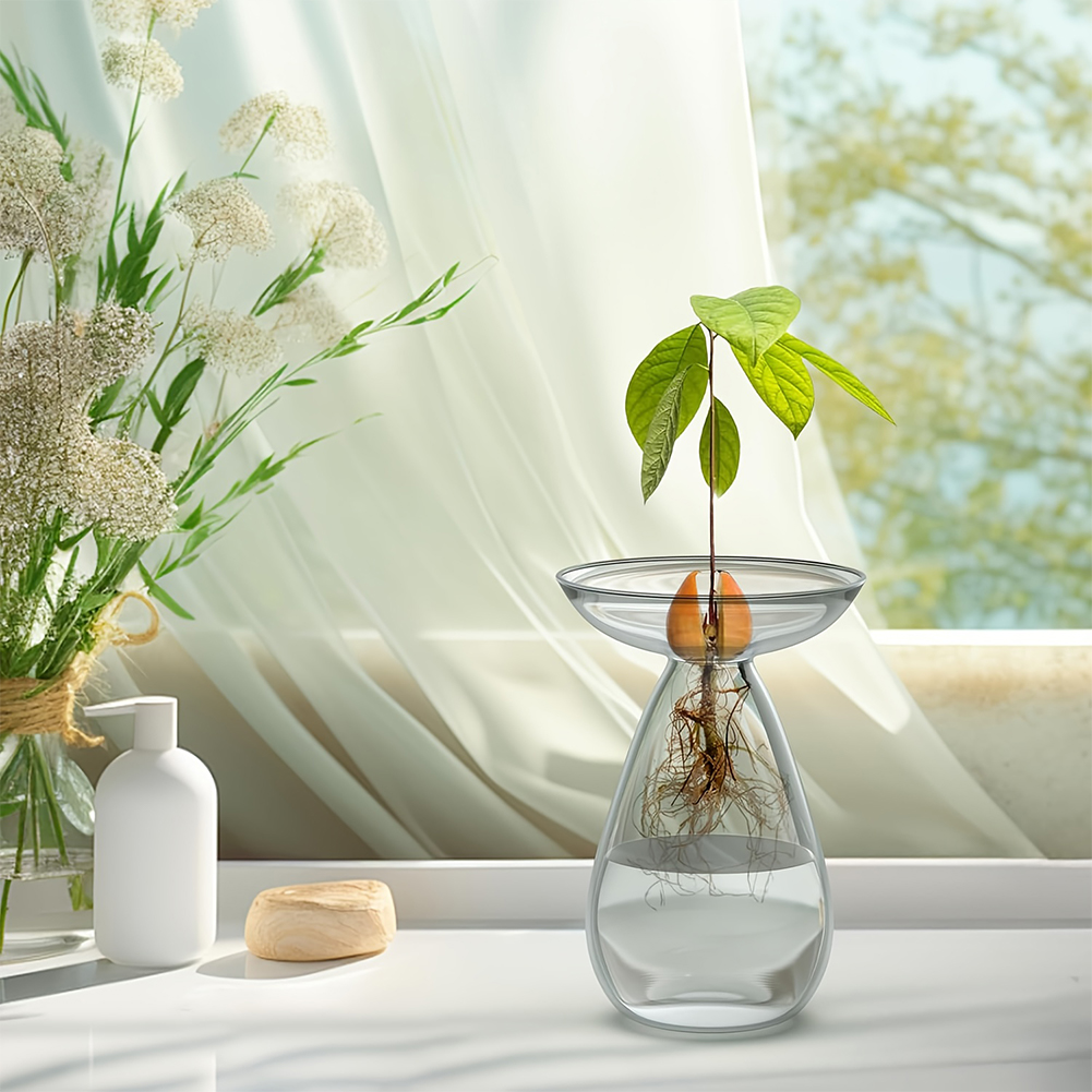 แจกันเพาะเมล็ดอะโวคาโด แจกันแก - Propagation Station Vase บทวิจารณ์และราคา