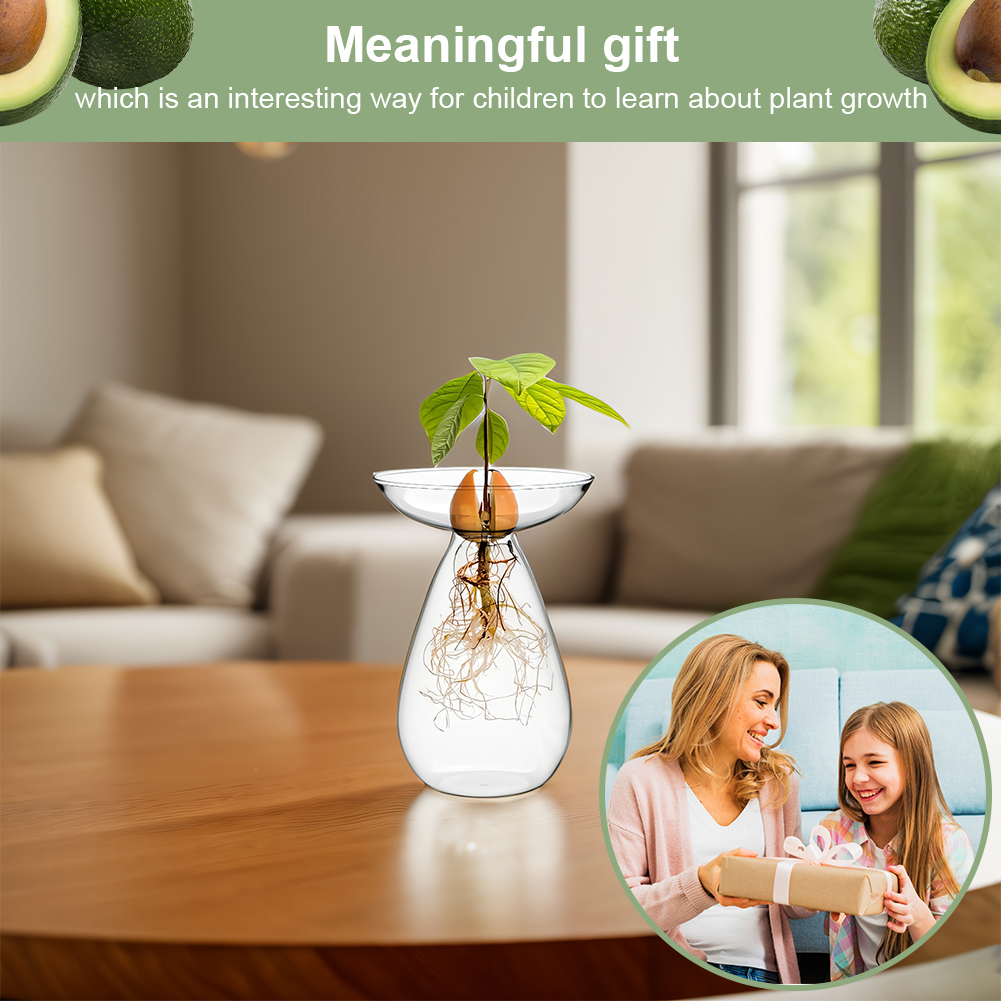 แจกันเพาะเมล็ดอะโวคาโด แจกันแก - Propagation Station Vase บทวิจารณ์และราคา