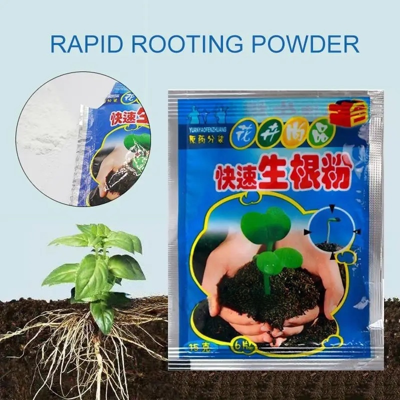 ผงเร่งราก 5 ชิ้น สารเร่งรากเร็ - Rooting Hormone Powder บทวิจารณ์และราคา