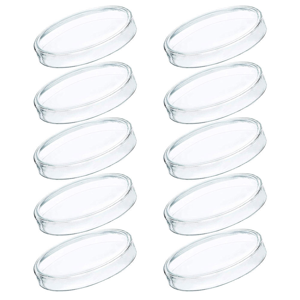 10 ชิ้น จานเพาะเชื้อพลาสติกใส  - Agar Tissue Culture บทวิจารณ์และราคา