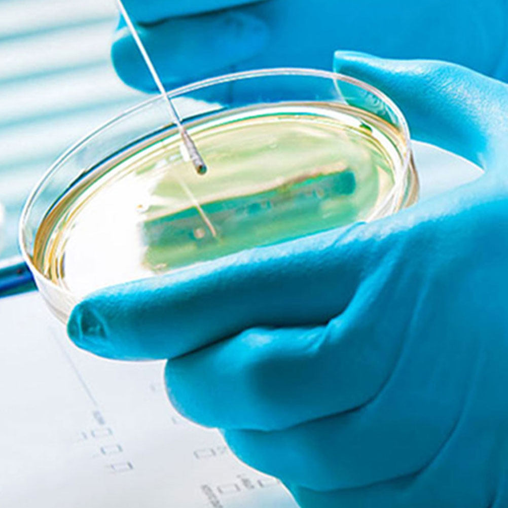 10 ชิ้น จานเพาะเชื้อพลาสติกใส  - Agar Tissue Culture บทวิจารณ์และราคา