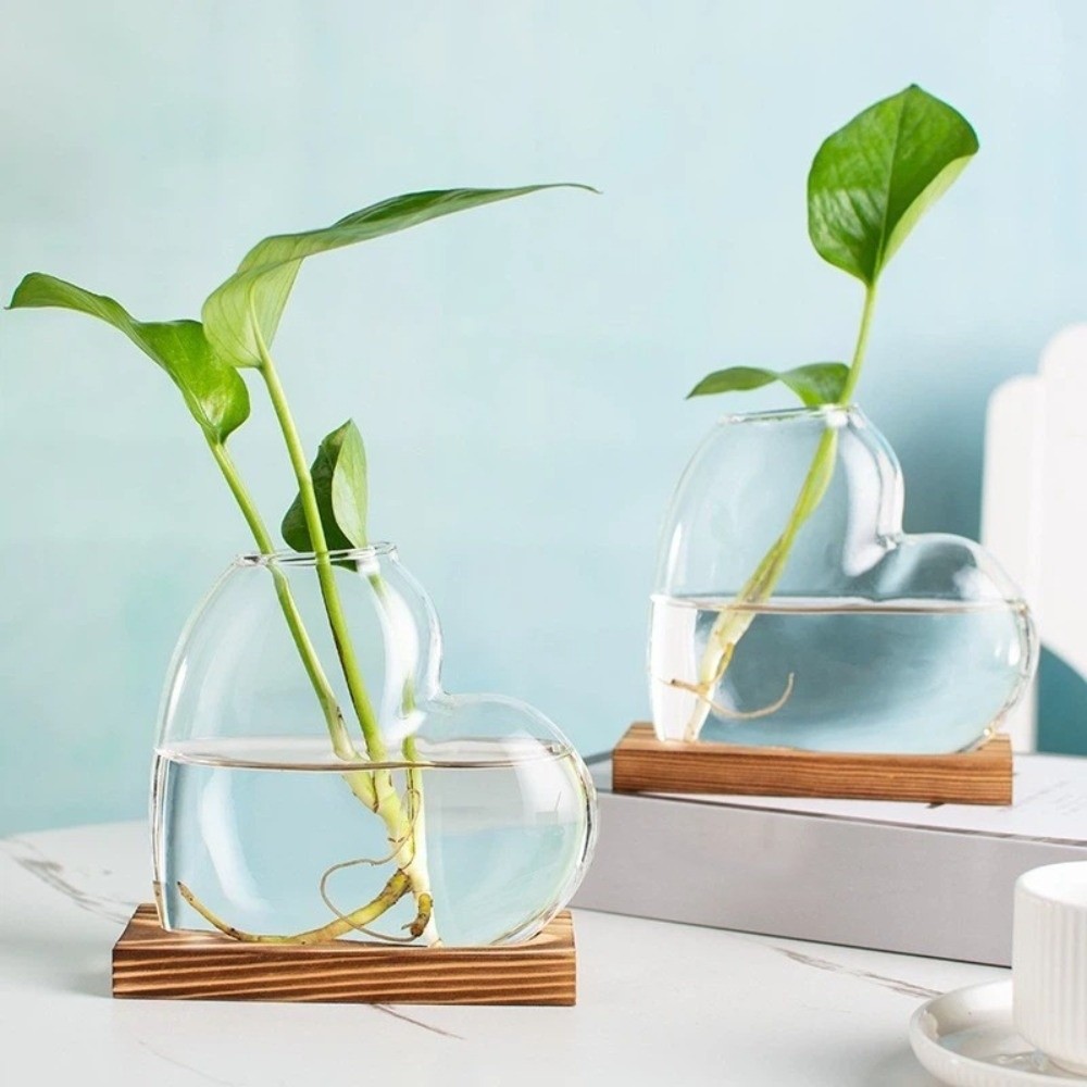 แจกันแก้วไฮโดรโปนิกส์ใส พร้อมฐ - Propagation Station Vase บทวิจารณ์และราคา