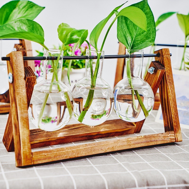 โต๊ะแก้ว Planter Propagation S - Propagation Station Vase บทวิจารณ์และราคา