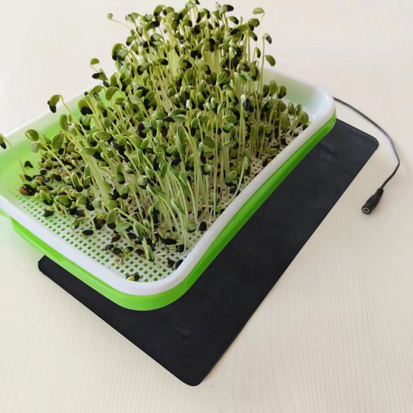 แผ่นทำความร้อนสำหรับต้นกล้า 5V - Heat Mat Seedling บทวิจารณ์และราคา