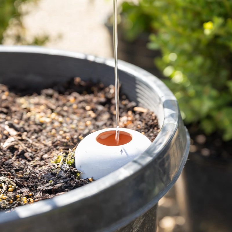 ลูกบอลรดน้ำพืชทำจากดินเผาบัวรด - Self Watering Insert บทวิจารณ์และราคา