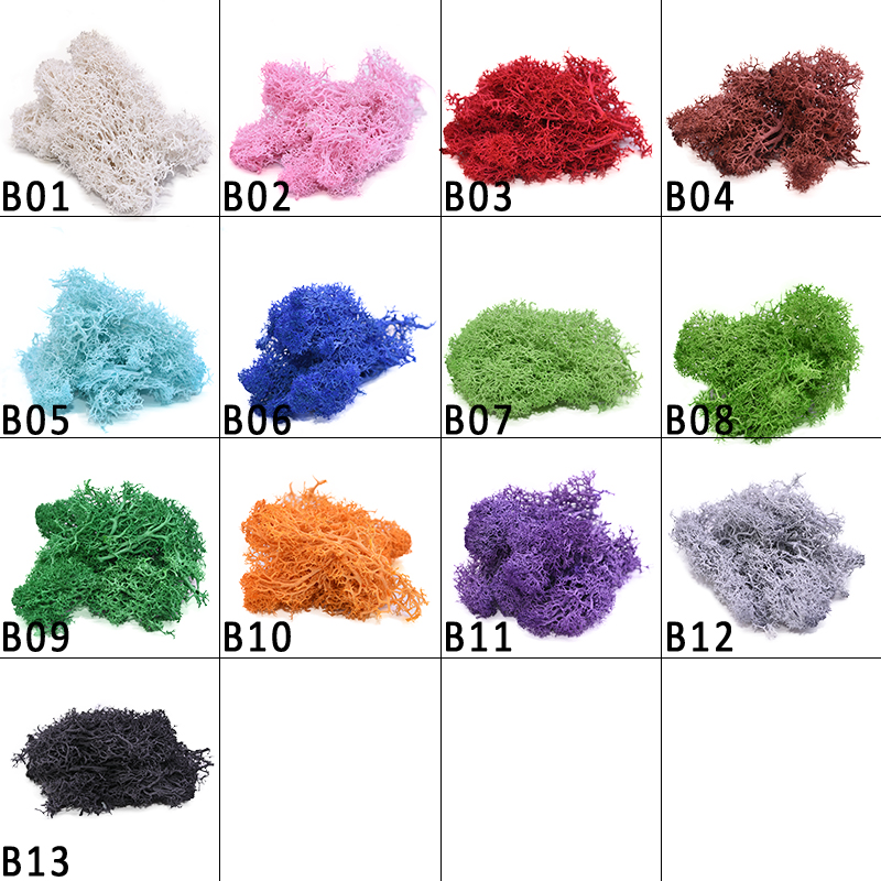 20-40g ธรรมชาติประดิษฐ์พืชชีวิ - Sphagnum Moss Dry บทวิจารณ์และราคา